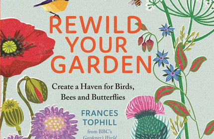 Rewild Your Garden