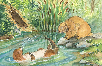 #310 - Swimming Hole Notecard