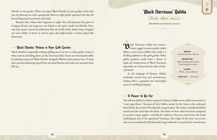 Goth Garden by Felicia Feaster: Hardcover; 192 pages / English