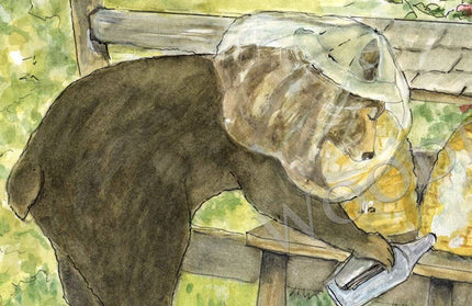 #328 - Beekeeping Notecard