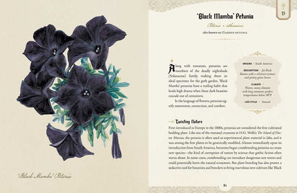 Goth Garden by Felicia Feaster: Hardcover; 192 pages / English