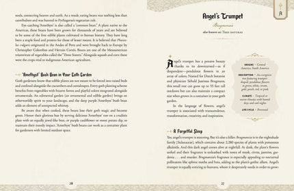 Goth Garden by Felicia Feaster: Hardcover; 192 pages / English