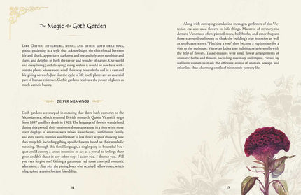 Goth Garden by Felicia Feaster: Hardcover; 192 pages / English