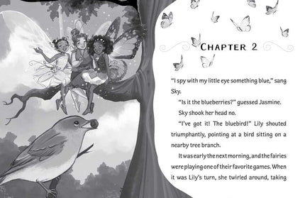 Wish for Lily by Bea Jackson: Paperback; 64 pages / English