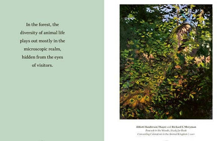 Wisdom From The Hidden Life of Trees.  Hardcover Book.