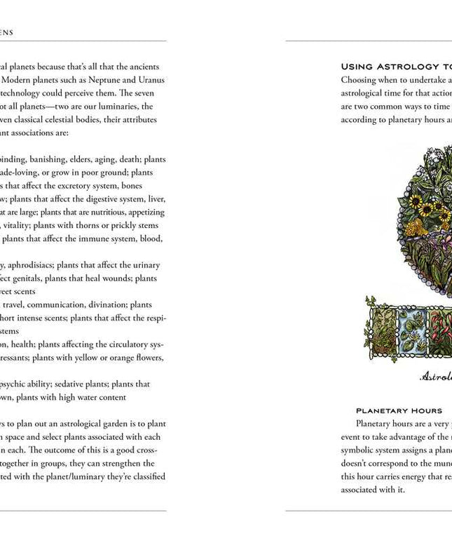 Green Witch's Garden by Arin Murphy-Hiscock: Hardcover; 224 pages / English